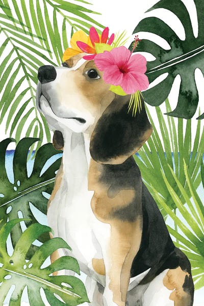 Beagles: Coastal Canines II by Grace Popp