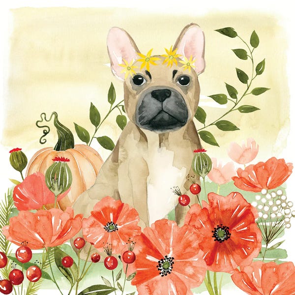 French Bulldogs: Harvest Hounds I by Grace Popp