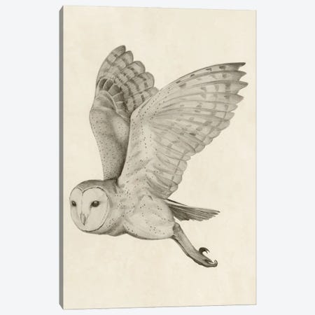 Night Owl I Canvas Print #POP2615} by Grace Popp Canvas Art Print