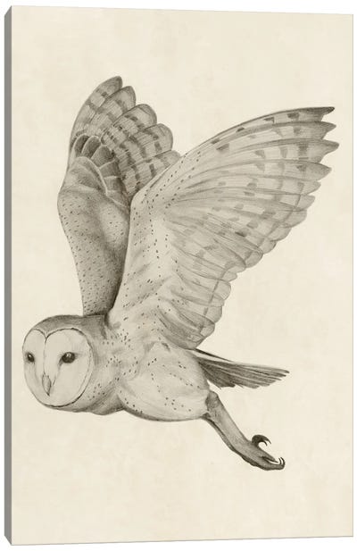 Night Owl I Canvas Art Print - Grace Popp
