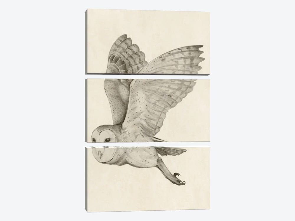 Night Owl I by Grace Popp 3-piece Canvas Art Print