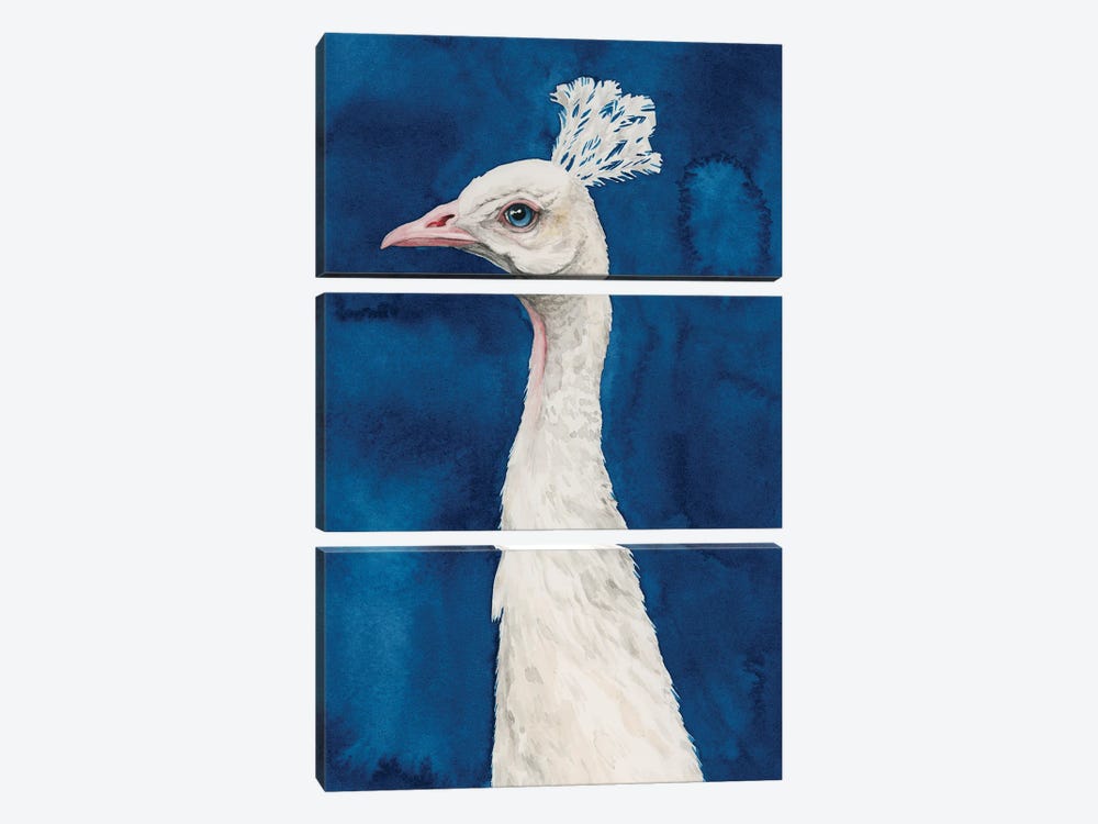 Snowy Peacock II by Grace Popp 3-piece Canvas Print