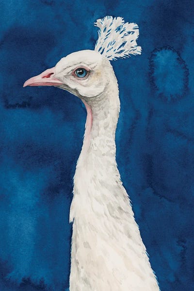 Peacocks: Snowy Peacock II by Grace Popp