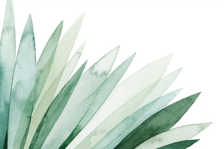 Watercolor Plume II by Grace Popp wall art