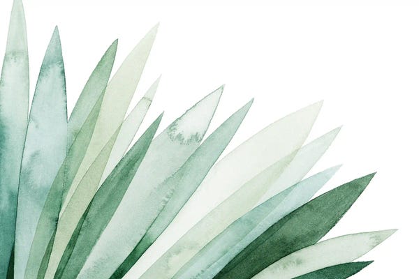 Minimalist Bohemian Decor: Watercolor Plume II by Grace Popp