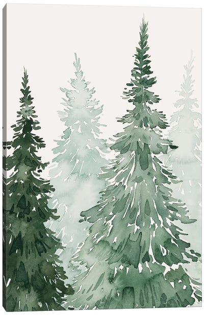 Winter Washed Coppice II Canvas Art Print - Pine Trees
