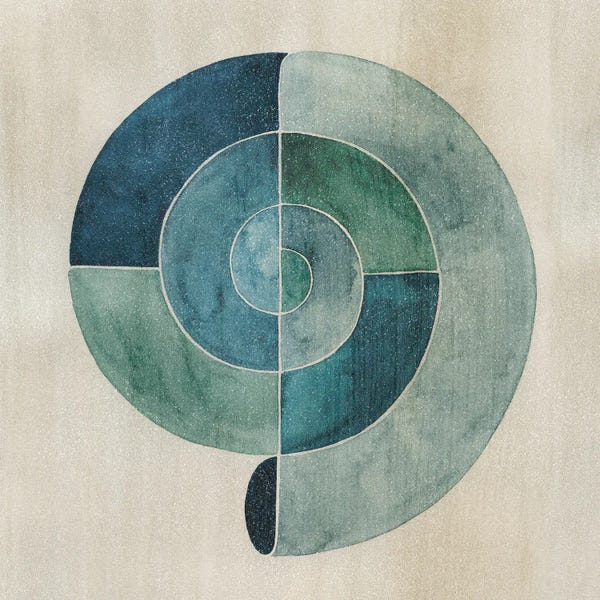 Sea Shells: Simplified Nautilus II by Grace Popp