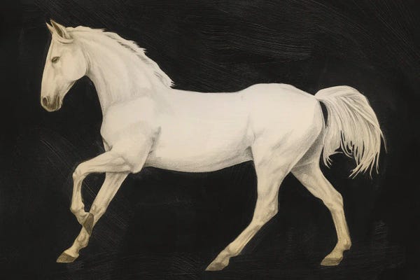 Grace Popp: Sunset Mustang II by Grace Popp