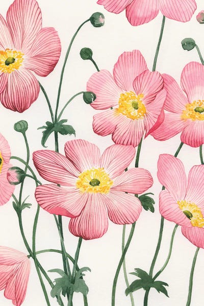 Grace Popp: Sidewalk Anemones I by Grace Popp