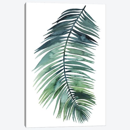 Untethered Palm VII II Canvas Print #POP275} by Grace Popp Canvas Artwork