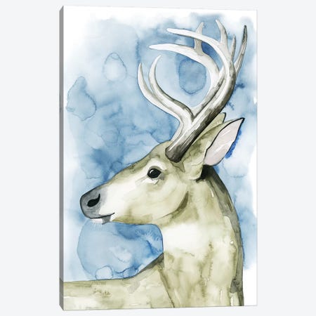 Wandering Stag I Canvas Print #POP284} by Grace Popp Canvas Print