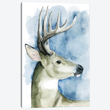 Wandering Stag II Canvas Print #POP285} by Grace Popp Canvas Print