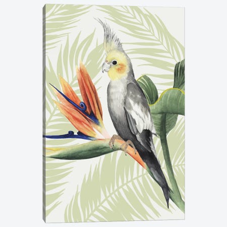 Avian Paradise I Canvas Print #POP2} by Grace Popp Canvas Wall Art