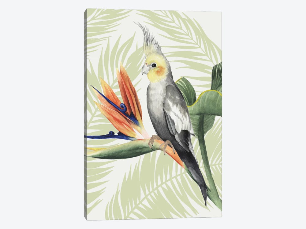 Avian Paradise I by Grace Popp 1-piece Canvas Art Print
