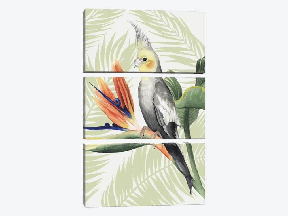 Avian Paradise I by Grace Popp 3-piece Canvas Print