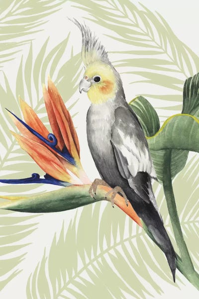 Pineapples: Avian Paradise I by Grace Popp