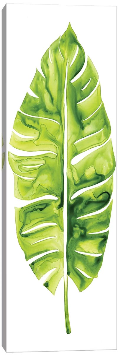 Banana Leaf Study I Canvas Art Print - Tropical Leaf Art