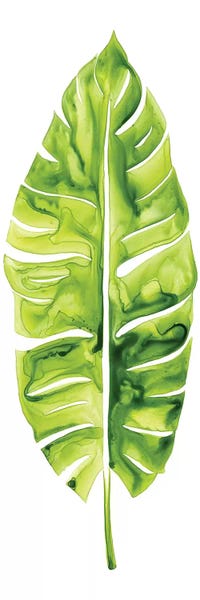 Nature Close-Ups: Banana Leaf Study I by Grace Popp