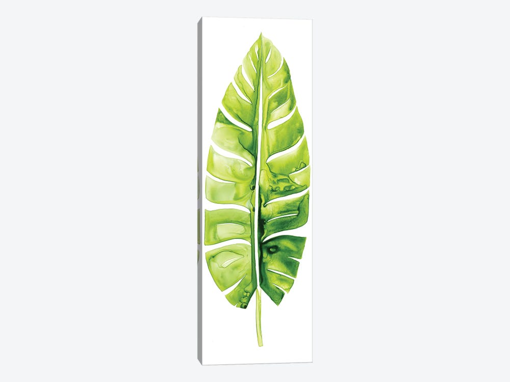 Banana Leaf Study II by Grace Popp 1-piece Canvas Art Print