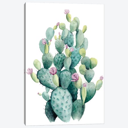 Desert Blooms I Canvas Print #POP324} by Grace Popp Canvas Art