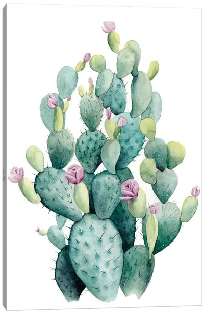Desert Blooms I Canvas Art Print - Cactus Art