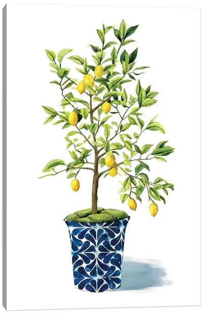 Fruit Tree II Canvas Art Print - Lemon & Lime Art