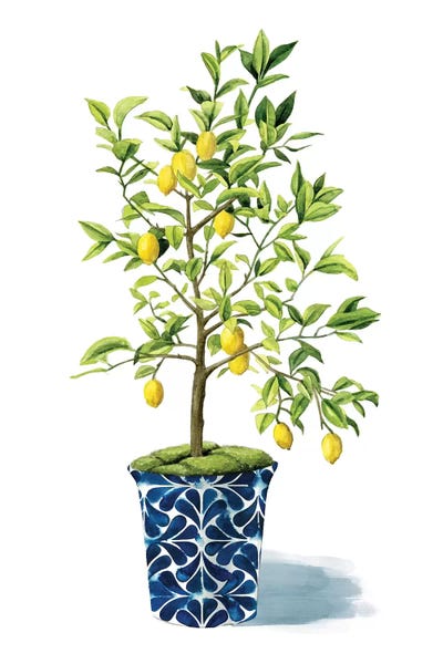 Mediterranean Décor: Fruit Tree II by Grace Popp