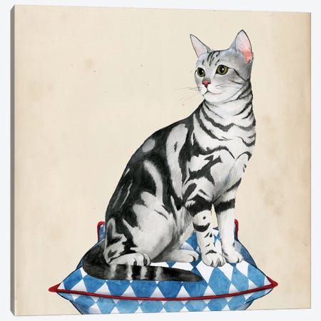 Lady Cat I Canvas Print #POP344} by Grace Popp Canvas Artwork