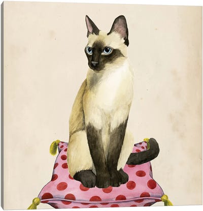 Lady Cat II Canvas Art Print - Siamese Cat Art