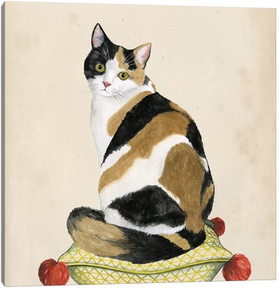 Lady Cat III Canvas Art Print - Grace Popp