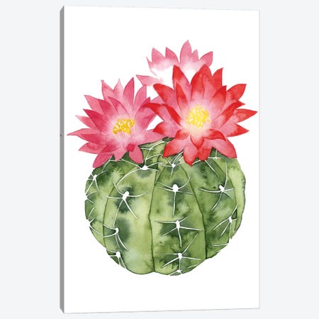 Cactus Bloom III Canvas Print #POP34} by Grace Popp Canvas Art Print