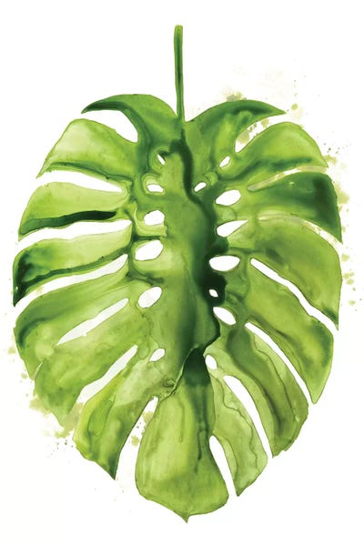 Monsteras: Monstera I by Grace Popp