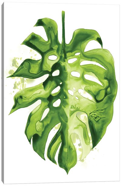 Monstera II Canvas Art Print - Tropical Leaf Art