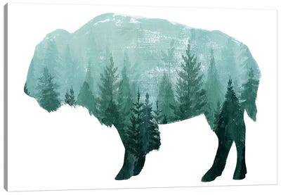 Nature Calling I Canvas Art Print - Bison & Buffalo Art