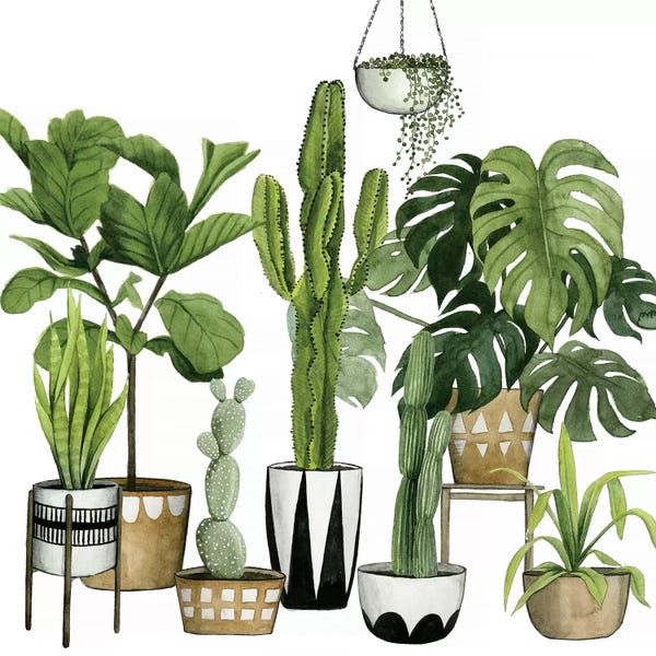 Monsteras: Plant Haven I by Grace Popp