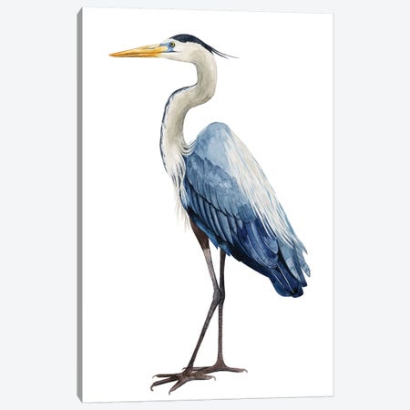 Seabird Heron I Canvas Print #POP370} by Grace Popp Canvas Art