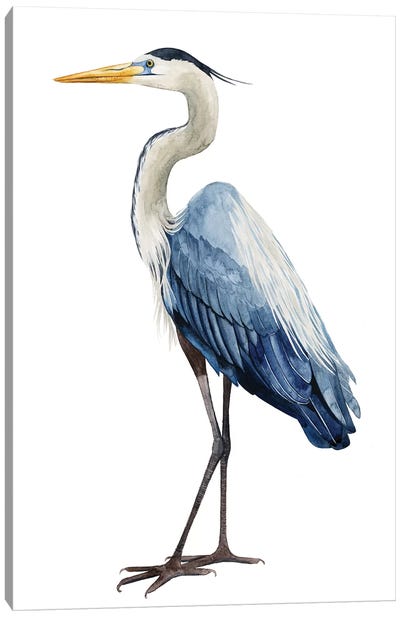 Seabird Heron I Canvas Art Print - Nautical Décor