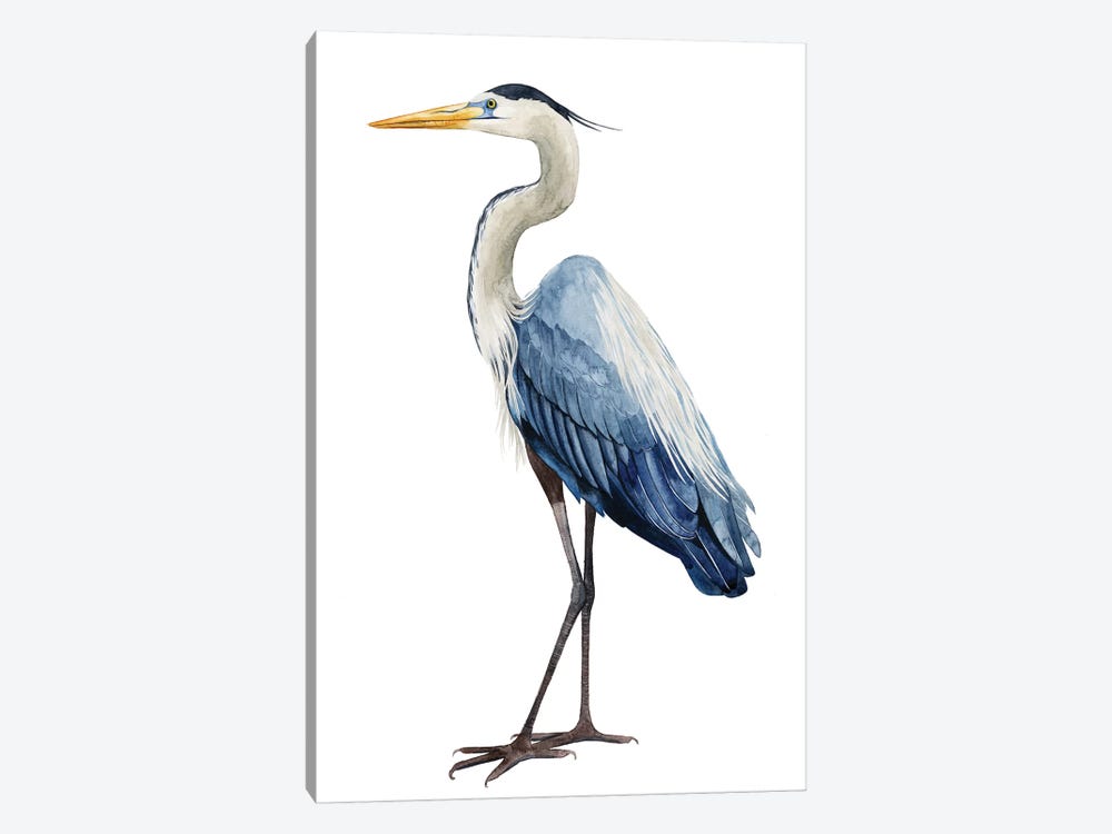 Seabird Heron I by Grace Popp 1-piece Canvas Print