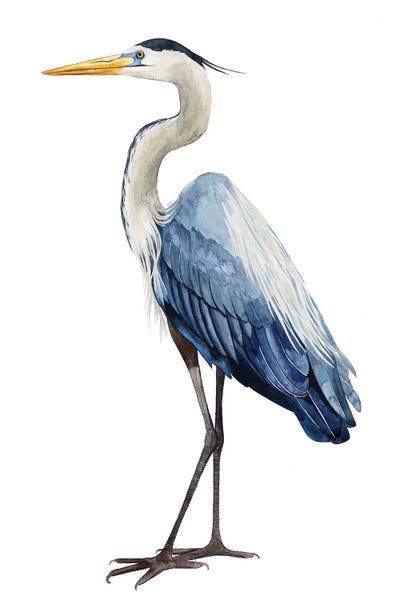 Herons: Seabird Heron I by Grace Popp