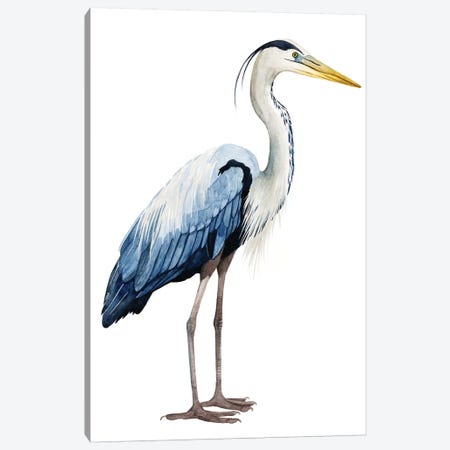 Seabird Heron II Canvas Print #POP371} by Grace Popp Canvas Artwork