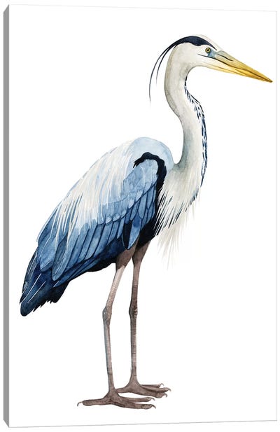 Seabird Heron II Canvas Art Print - Nautical Décor