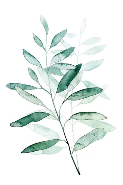 Serene Reed I by Grace Popp framed canvas print