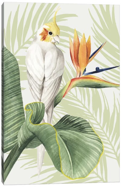 Avian Paradise II Canvas Art Print - Pantone Greenery 2017