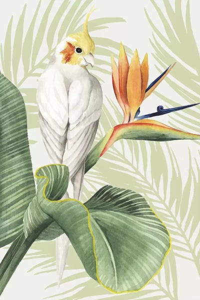 Birds Of Paradise: Avian Paradise II by Grace Popp