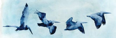 Coastal Covey II by Grace Popp canvas print