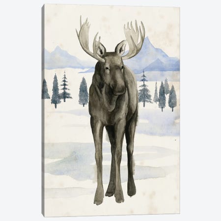 Alaskan Wilderness I Canvas Print #POP410} by Grace Popp Canvas Art Print