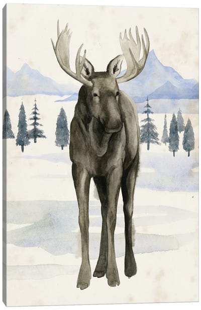 Alaskan Wilderness I Canvas Art Print - Moose Art