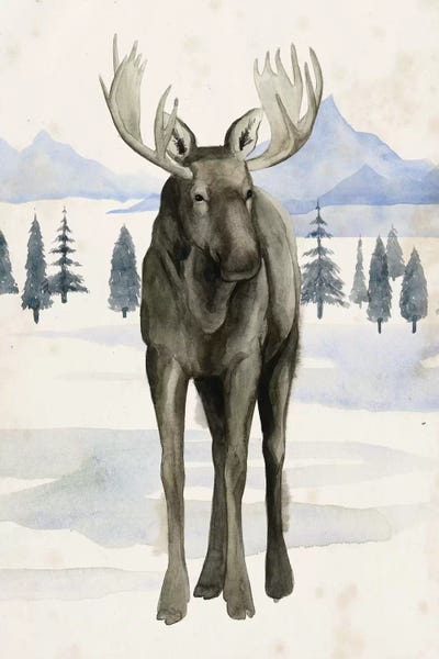 Moose: Alaskan Wilderness I by Grace Popp