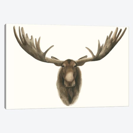 Moose Bust Canvas Print #POP430} by Grace Popp Canvas Art Print