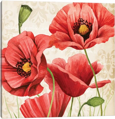 Poised Poppy I Canvas Art Print - Poppy Art